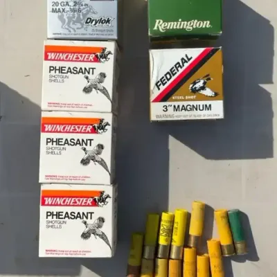 Assorted 20-gauge A.M.M.O Full Boxes +