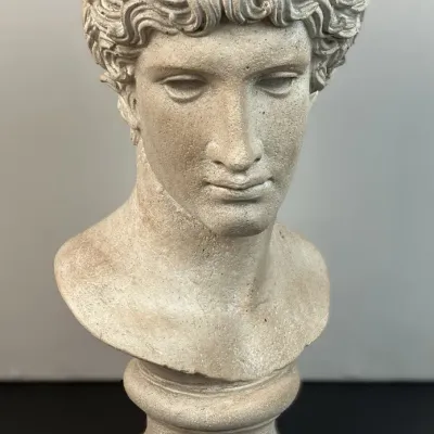 Sale Photo Thumbnail #72: Classical-style cast stone or plaster bust of a young man, featuring curly hair and a neutral expression, mounted on a round pedestal base.