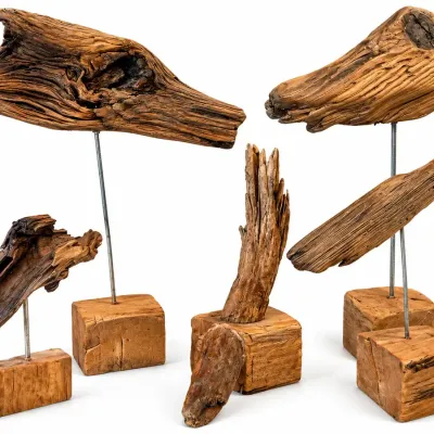 Lot of 5 Rustic Driftwood Sculptures on Wood Bases Coastal Folk Art Decor