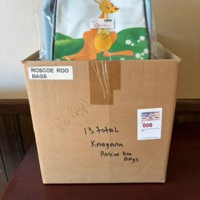Cardboard box containing a lot of 13 Roscoe Roo kangaroo-printed children's backpacks, sealed in plastic packaging.