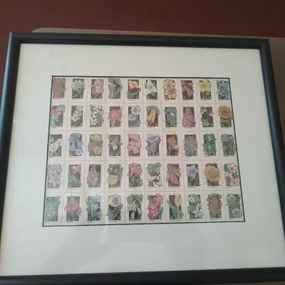 Sale Photo Thumbnail #180