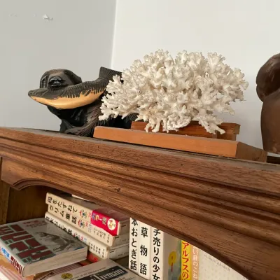 Sale Photo Thumbnail #118: Natural white sea coral specimen on a wooden display base, sitting atop a wooden shelf alongside carved wooden figurines and Japanese books.