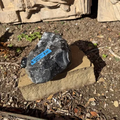 Sale Photo Thumbnail #399: Large chunk of glossy black volcanic glass obsidian resting on a tan stone, labeled for sale.