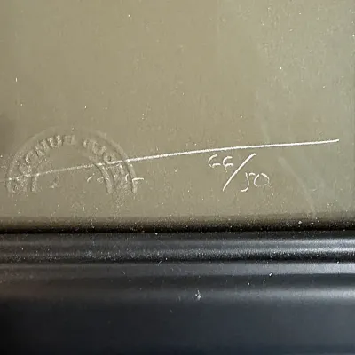 Sale Photo Thumbnail #172: Close-up detail of a framed limited-edition art print, showing an embossed blind stamp and a pencil edition numbering of 66/50.