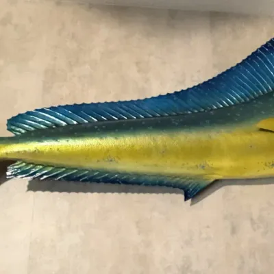 Sale Photo Thumbnail #231: Large taxidermy Mahi-Mahi (Dolphinfish) wall mount, featuring vibrant blue and yellow coloration in good pre-owned condition.