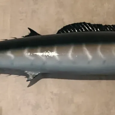 Sale Photo Thumbnail #232: Large replica mount of a wahoo game fish with detailed blue and silver paint.